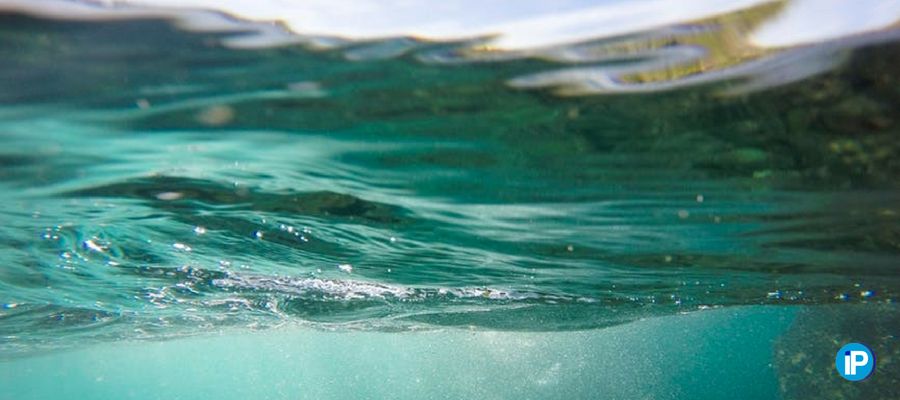 evitar la plaga de plásticos en los océanos portada