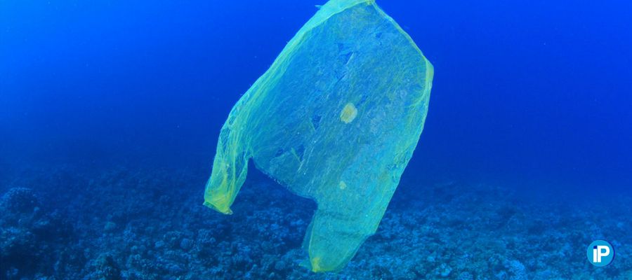 plagas de plásticos en los océanos portada